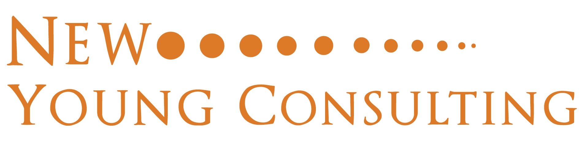 New Young Consulting